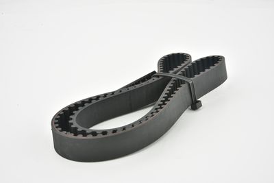 CUREA DE DISTRIBUTIE FEBEST 011404AFE 19