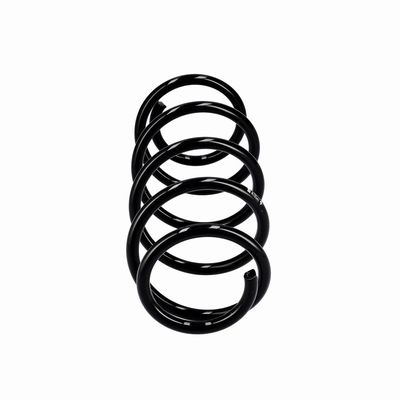 ARC SPIRAL EIBACH R10341 1