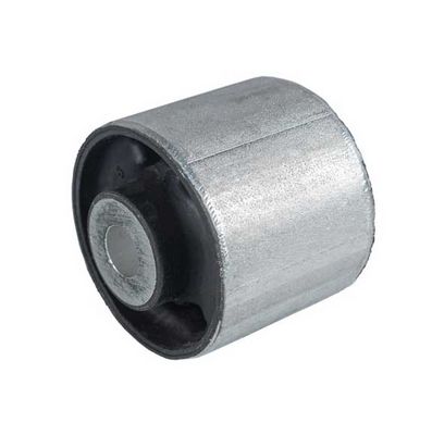 Autostar Germany Mounting, differential