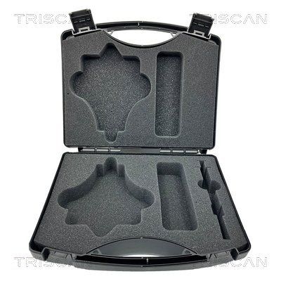 SET MONTAT PARBRIZ TRISCAN 3010