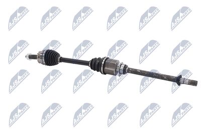 PLANETARA NTY NPWFT100 30