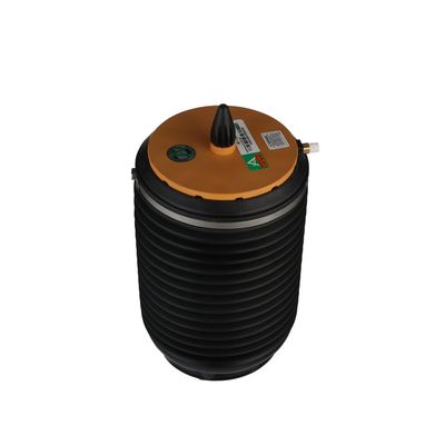 LUFTFEDER FAHRWERK Arnott A3891 69