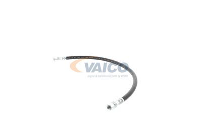 FURTUN FRANA VAICO V309926 19