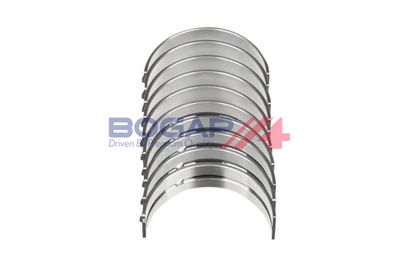 CUZINETI ARBORE COTIT BOGAP F1232102