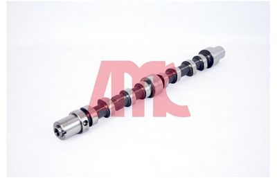 NOCKENWELLE AMC 647273 1
