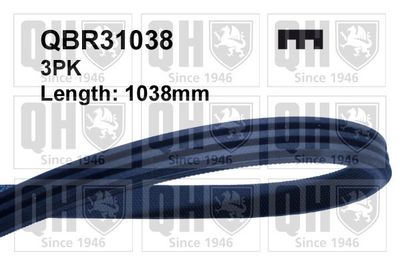 Поликлиновой ремень QUINTON HAZELL QBR31038 для RENAULT KANGOO