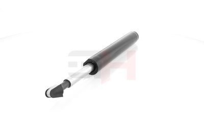 AMORTIZOR GH GH344794 13