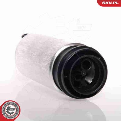 POMPA COMBUSTIBIL ESEN SKV 02SKV242 1