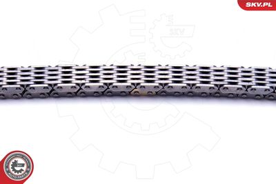 Timing Chain Kit 21SKV194