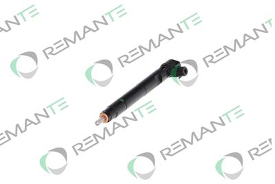 INJECTOR REMANTE 002003000176R 5