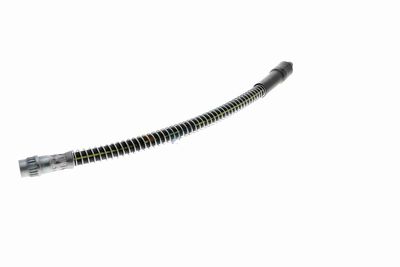 FURTUN FRANA VAICO V464113 4