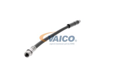 FURTUN FRANA VAICO V250900 51