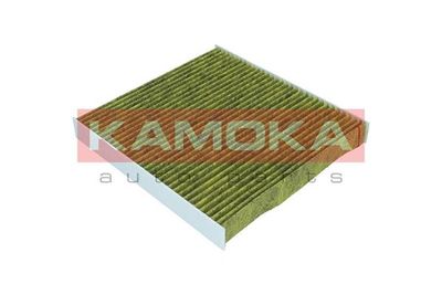 Filter, cabin air 6080069