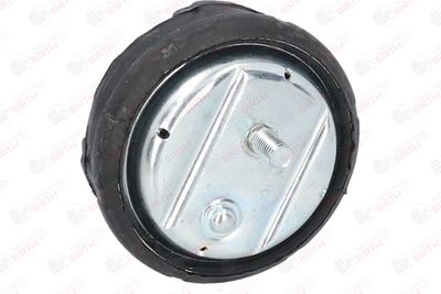 SUPORT MOTOR BIRTH 50122 7