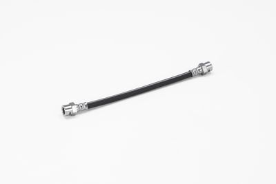 FURTUN FRANA ATE 24510102503 12