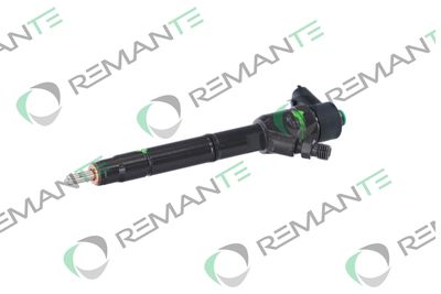 INJECTOR REMANTE 002003001691R 5