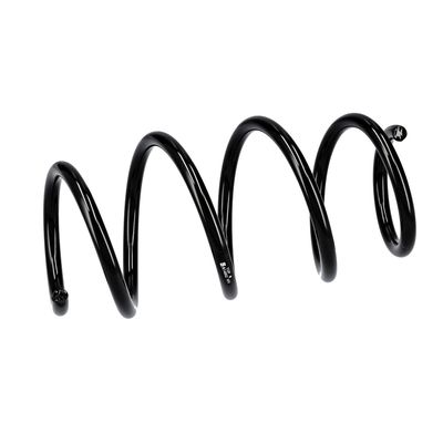 ARC SPIRAL EIBACH R14862 6