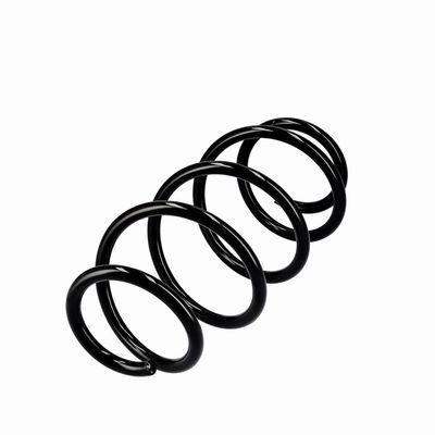 ARC SPIRAL EIBACH R10288 3