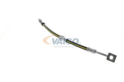 FURTUN FRANA VAICO V404110 47