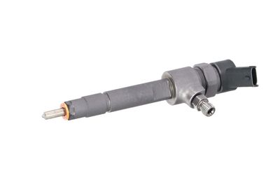 INJECTOR REMANTE 002003001639R 7
