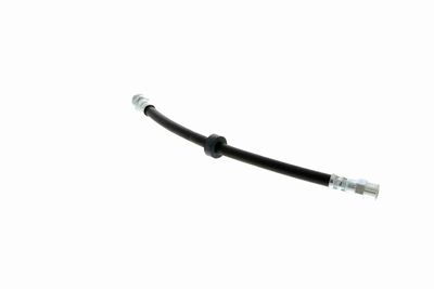 FURTUN FRANA VAICO V104191 6