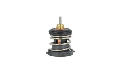 TERMOSTAT LICHID RACIRE NRF 725387 5