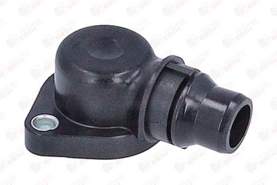 FLANSA LICHID RACIRE BIRTH 81108 12