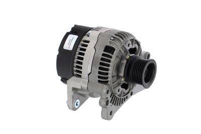 GENERATOR / ALTERNATOR REMANTE 011003000005R 49