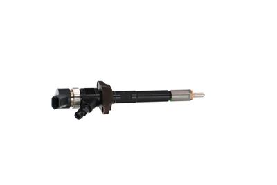 INJECTOR REMANTE 002003000030R 35