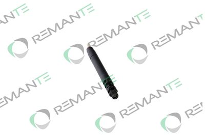 INJECTOR REMANTE 002003000175R 1