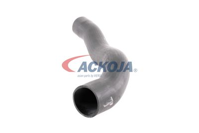 FURTUN EAR SUPRAALIMENTARE ACKOJA A379600 22