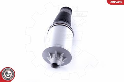 Air Spring, suspension 58SKV034