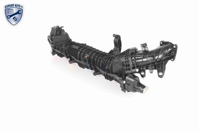 MODUL CONDUCTA ADMISIE VAICO V204954 10