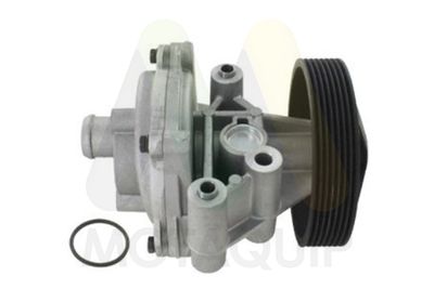 POMPă DE APă RăCIRE MOTOR