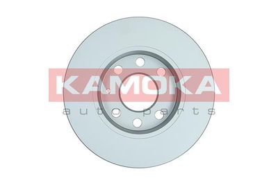 Brake Disc 1032258