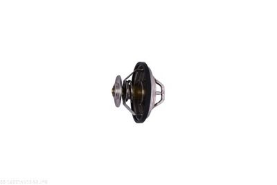 TERMOSTAT LICHID RACIRE AUTOMEGA 160014510 3