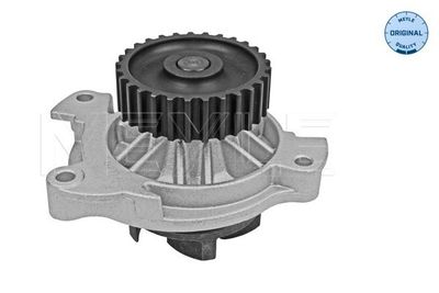 POMPă DE APă RăCIRE MOTOR MEYLE 1130120022 1