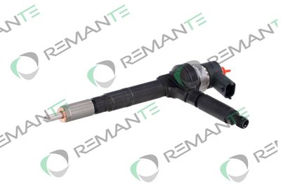 INJECTOR REMANTE 002003001191R 5