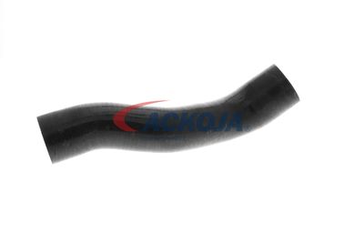 FURTUN EAR SUPRAALIMENTARE ACKOJA A389605 56