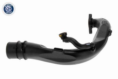 FURTUN EAR SUPRAALIMENTARE VAICO V461683 2