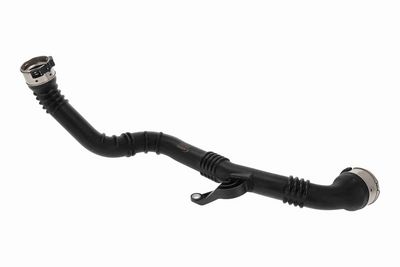 FURTUN EAR SUPRAALIMENTARE ACKOJA A380643 3