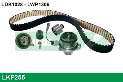 WASSERPUMPE + ZAHNRIEMENSATZ