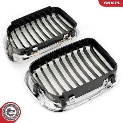 GRILA RADIATOR ESEN SKV 66SKV063 3