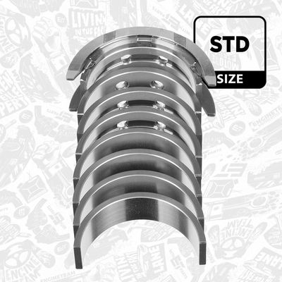 SET RULEMT ARBORE COTIT