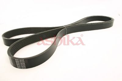 ASHIKA V formos rumbuoti diržai