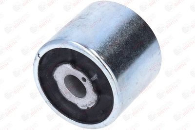 RULMENT DIFERENTIAL BIRTH 20031 2