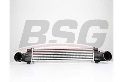 BSG BSG 60-535-011 Інтеркулер 