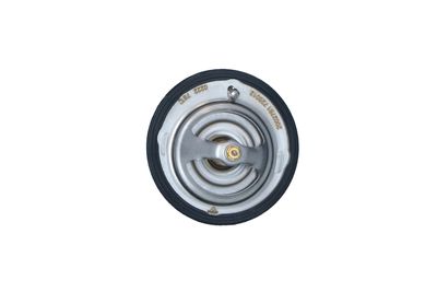 TERMOSTAT LICHID RACIRE NRF 725012 46