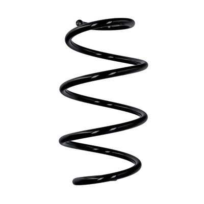 ARC SPIRAL EIBACH R10248 25