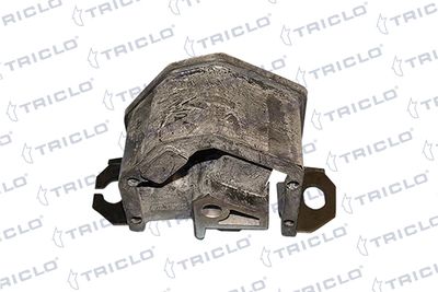 окачване, двигател TRICLO